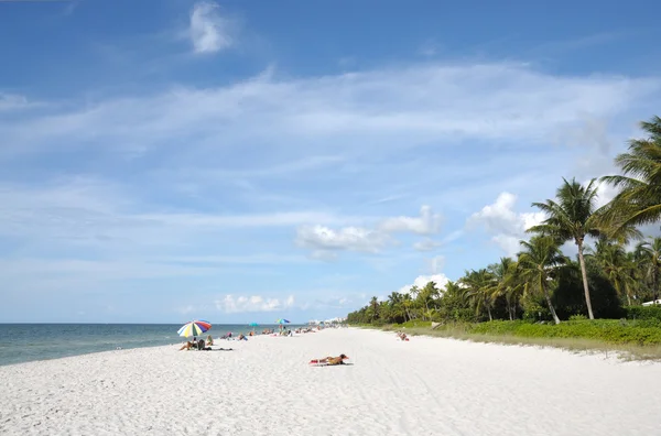 Pláž v naples, florida — Stock fotografie