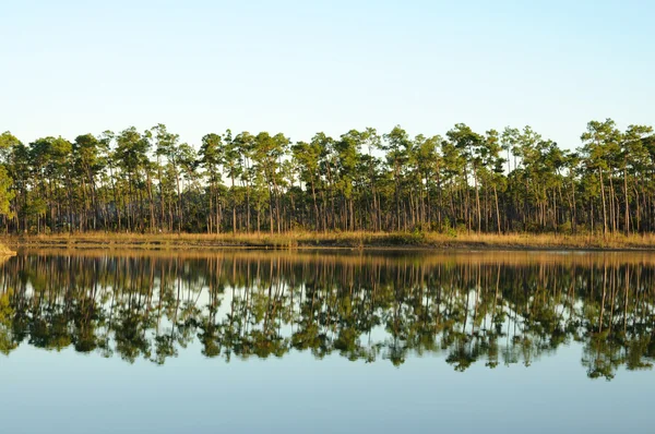 Everglades Ulusal Park, florida ABD göl — Stok fotoğraf