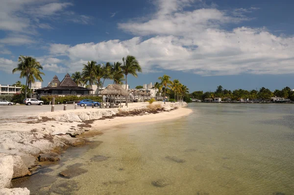Spiaggia di Islamorada, Florida Keys Stati Uniti — Foto Stock