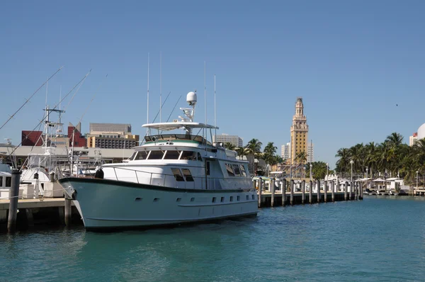 Motor Yachts em Miami Bayside Marina — Fotografia de Stock