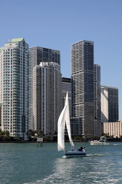 Downtown Miami and Sailing Yacht, Florida — Stock Photo, Image