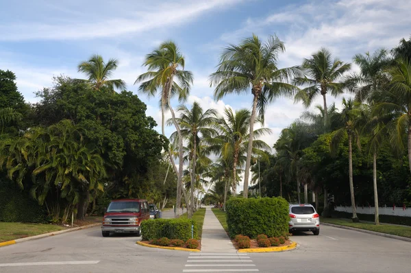 Street in Naples, Florida — Stock Photo, Image