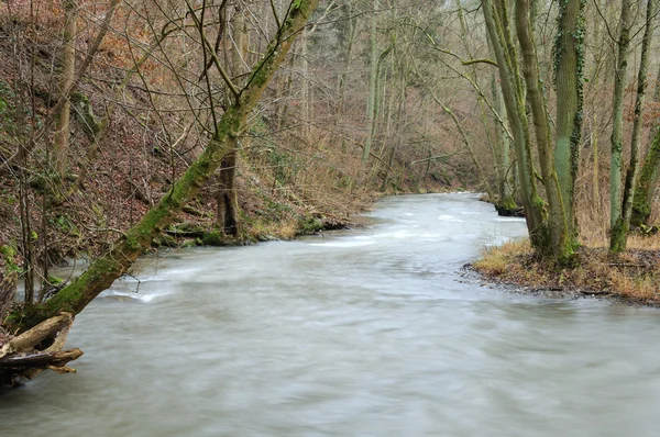 Río en bosque invernal — Foto de Stock