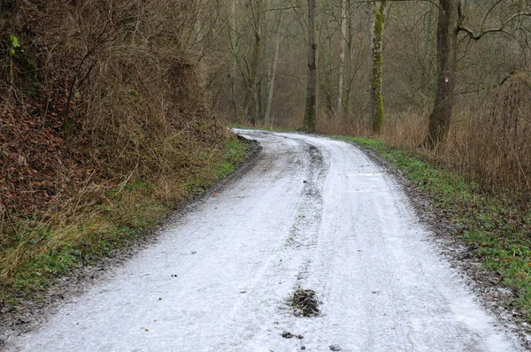 Neve estrada coberta na floresta — Fotografia de Stock
