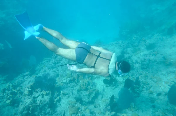 水下图像的 snorkeler — 图库照片