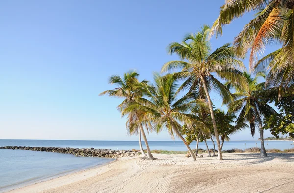 Key west beach w archipelagu florida keys, Stany Zjednoczone Ameryki — Zdjęcie stockowe