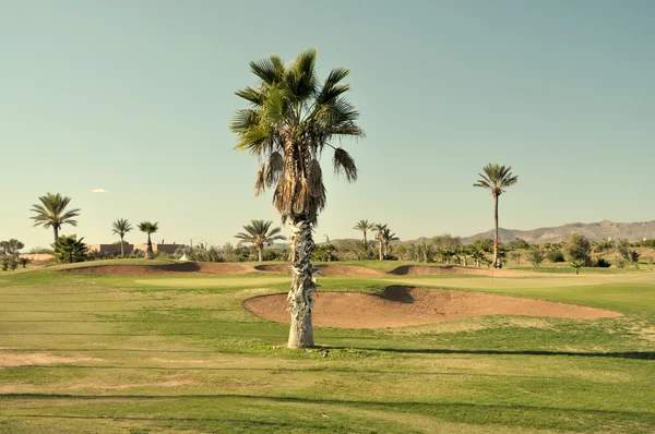 Campo de golf en Marrakech, Marruecos — Foto de Stock