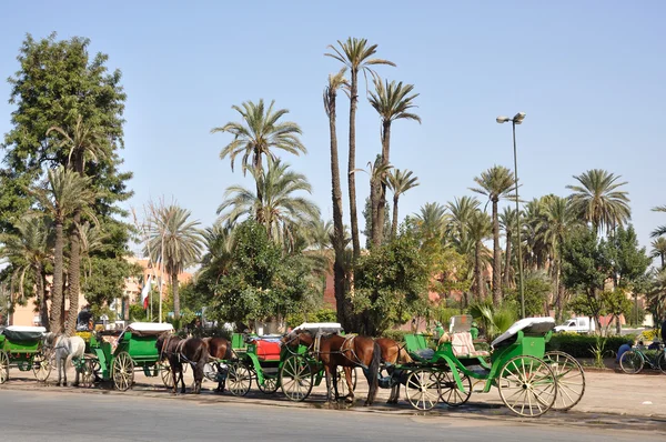 Paard getrokken koetsen wachten op toeristen in marrakesh, Marokko — Stockfoto