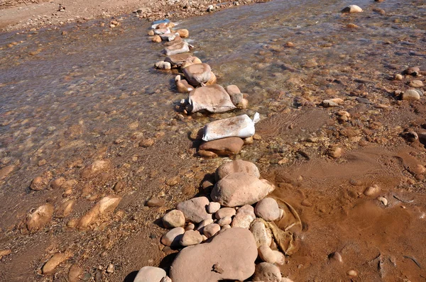 Stepping stones — Stock Photo, Image