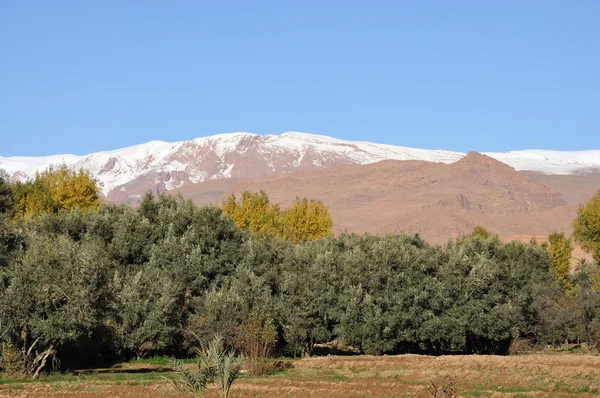 Atlasbergen i Marocko — Stockfoto