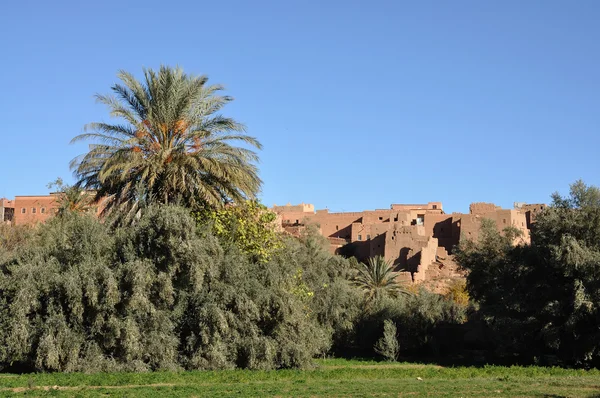Kasbah in Marokko, Afrika — Stockfoto
