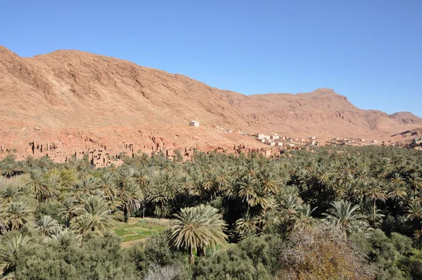 Draa valey, Marokkó Afrika falu — Stock Fotó