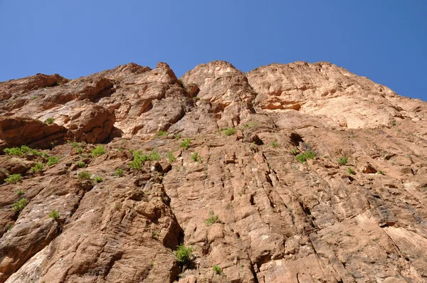 モロッコのアフリカ トドラ渓谷の岩 — ストック写真