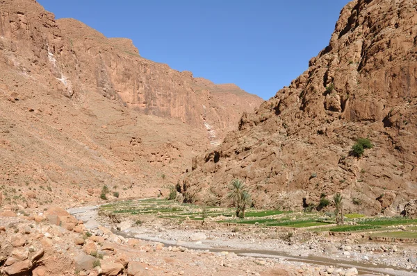 アフリカ モロッコ dades 峡の山中 — ストック写真