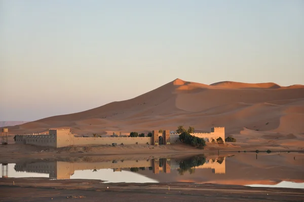 Oase in der Wüste Sahara, Marokko Afrika — Stockfoto