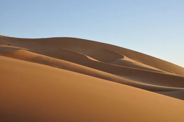 Dunas de arena en el desierto del sahara — Foto de Stock