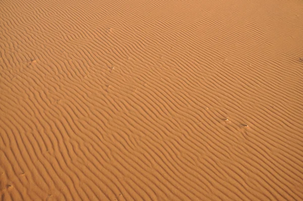 沙丘 — 图库照片