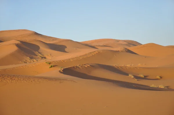 Zandduinen in de sahara — Stockfoto