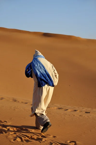 Бедуины Сахары — стоковое фото