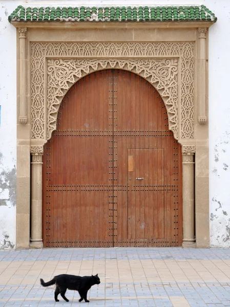 Porta e gatto, Essaouria Marocco Africa — Foto Stock