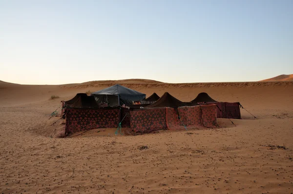 Beduínský stan v poušti sahara — Stock fotografie