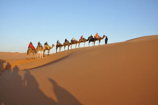 Výlet na velbloudech v poušti sahara — Stock fotografie