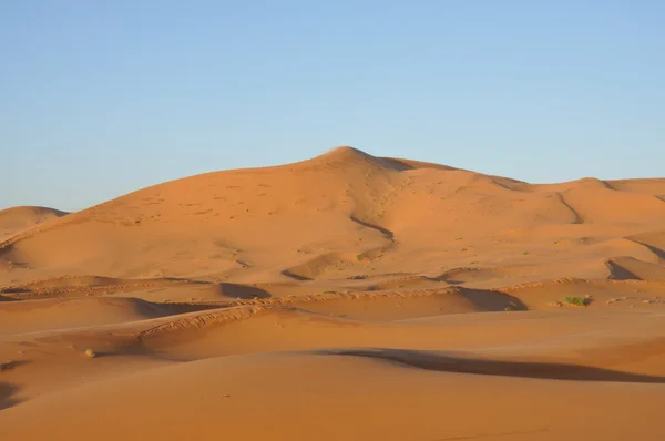 サハラ砂漠の砂丘は — ストック写真