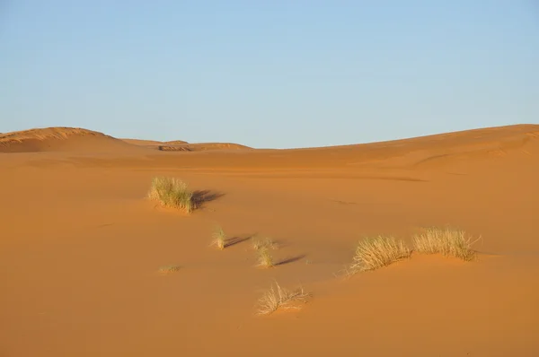 Dune di sabbia nel deserto del sahara — Foto Stock