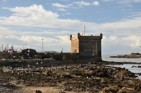 Fortyfikacji essaouria, Maroko — Zdjęcie stockowe