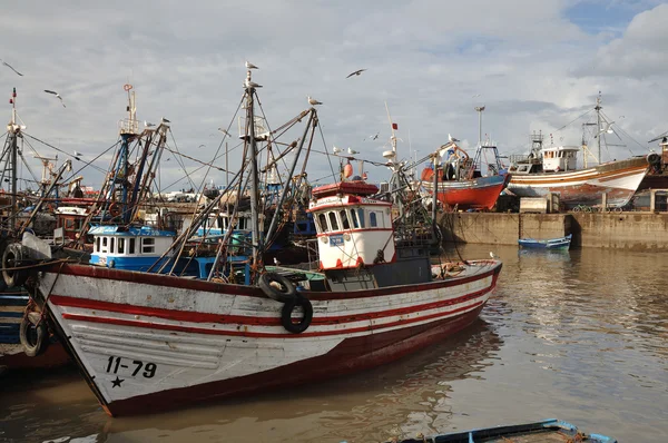 Fiskebåtarna i hamnen av essaouria, Marocko — Stockfoto