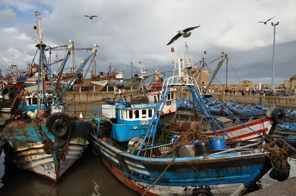 Fiskebåtar i essaouria, Marocko Afrika — Stockfoto