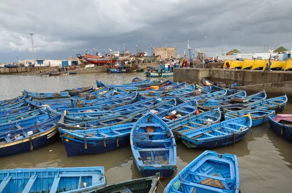 Fiskebåtarna i hamnen av essaouria, Marocko — Stockfoto