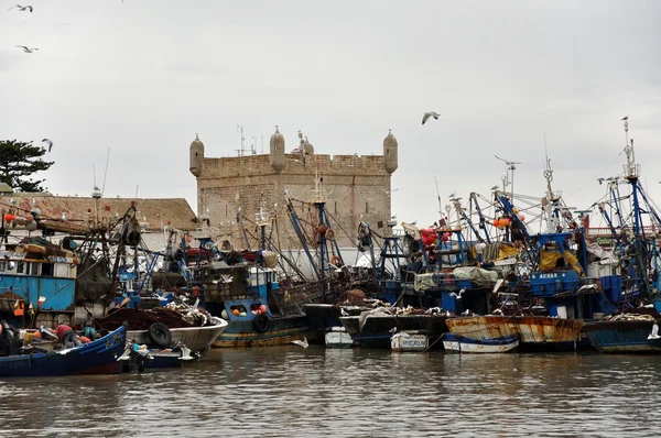 Fiskebåtar i essaouria, Marocko — Stockfoto