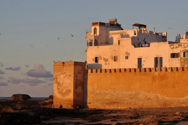 Essaouria の城壁 — ストック写真