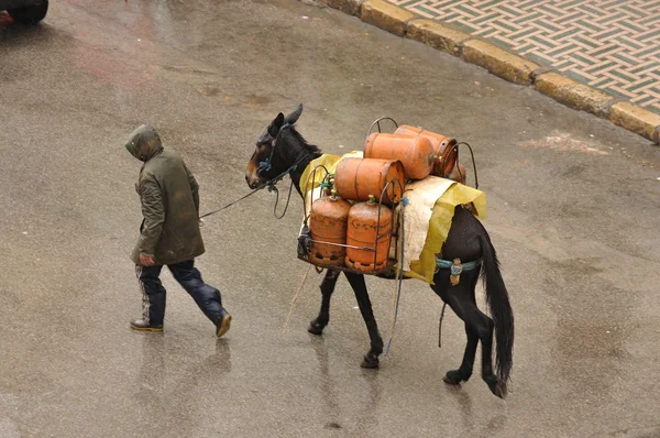Μεταφορές φιάλες αερίου στην fes, Μαρόκο — Φωτογραφία Αρχείου