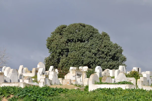Starý hřbitov v Maroku, Afrika — Stock fotografie