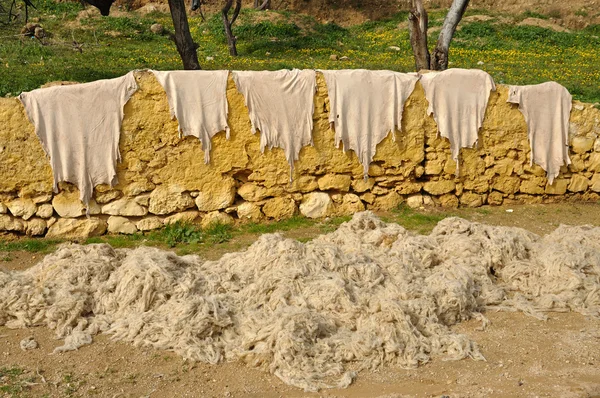 Pelli animali e asciugatura lana all'esterno, Fes Marocco — Foto Stock