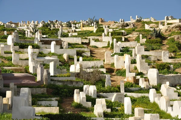 Muslimsk kirkegård i Fes, Marokko – stockfoto