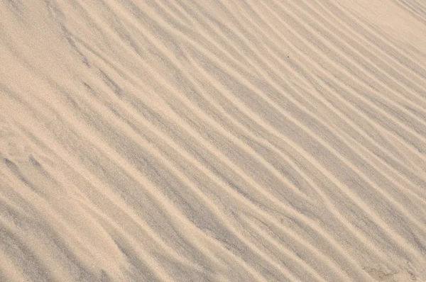 Dune struktur bakgrund — Stockfoto