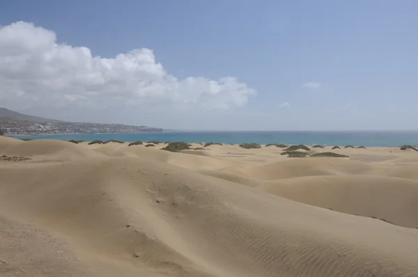 Dunes de Maspalomas, Gran Canaria — Photo