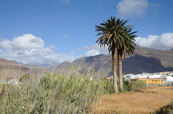 Landscape on Gran Canaria, Spain — Stock Photo, Image