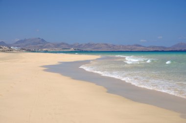 Beach Playa de Sotavento, Canary Island Fuerteventura, Spain clipart