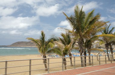 City Beach Las Canteras in Las Palmas de Gran Canaria, Spain clipart