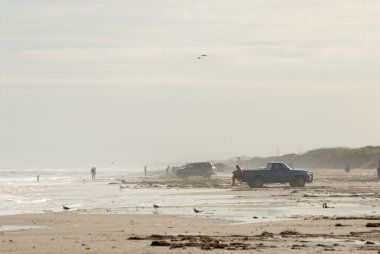 Padre Island beach after hurricane Ike, Southern Texas, USA clipart