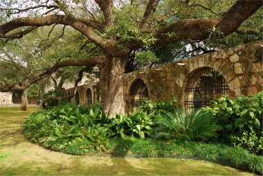 In the garden of Alamo, San Antonio, Texas clipart