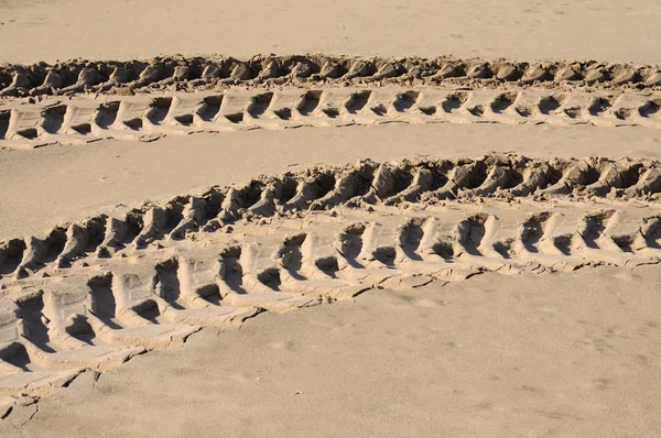 Tyre tracks on the beach — Stock Photo, Image