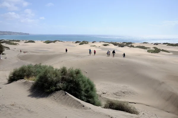 グランド カナリア マスパロマスの砂丘私は — ストック写真