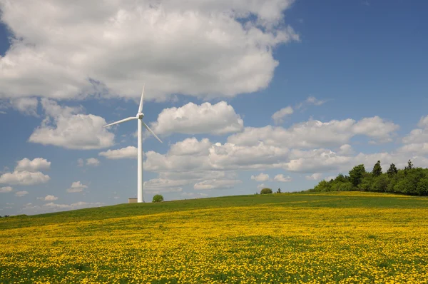 Turbina eólica en un prado — Foto de Stock