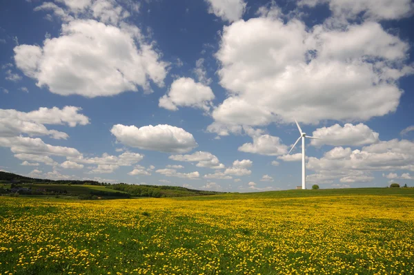 Éolienne sur une prairie avec des fleurs jaunes — Photo