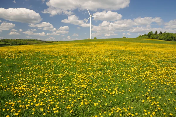 Turbina de viento en un prado con flores amarillas — Foto de Stock